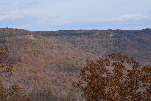 1136 Parkstown Ext, Wilder, TN 38589