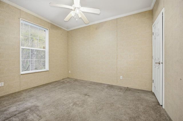 4881 Avenue B, St Augustine, FL 32095