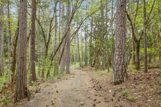 Redwood Highway, Grants Pass, OR 97527