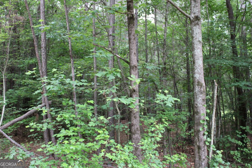 2 Garnett Ward Road, Hull, GA 30646 — exterior