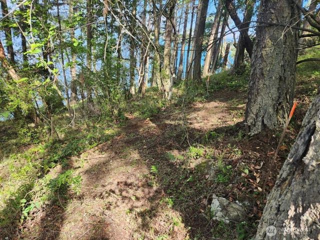 0 Fern Place, Friday Harbor, WA 98250