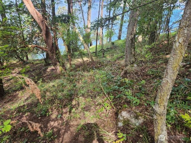 0 Fern Place, Friday Harbor, WA 98250