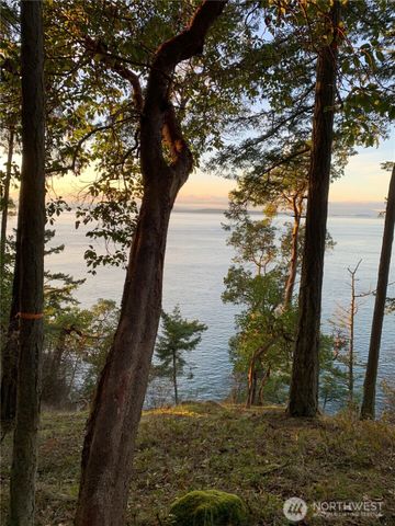 0 Fern Place, Friday Harbor, WA 98250