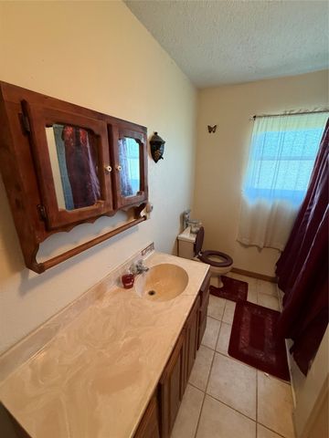 1393 NE County Road 2120 Road NE, Powell, TX 75153