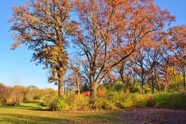 840 Arbor Avenue, West Chicago, IL 60185