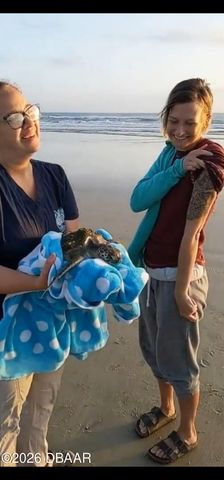 4525 S Atlantic Avenue S # 1501, Ponce Inlet, FL 32127