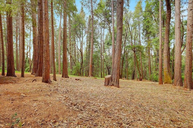 13274 Idaho Maryland Rd, Nevada City, CA 95959