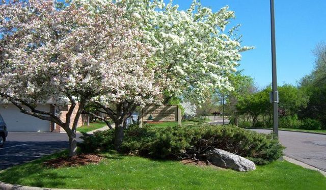 3670 Gettysburg Avenue S 82, Saint Louis Park, MN 55426