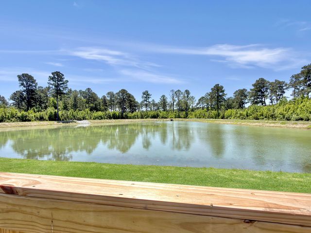 468 White Magnolia Street, Moncks Corner, SC 29461