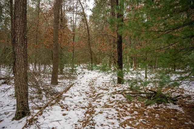 Lot 3 Meadow Drive, New Lisbon, WI 53950