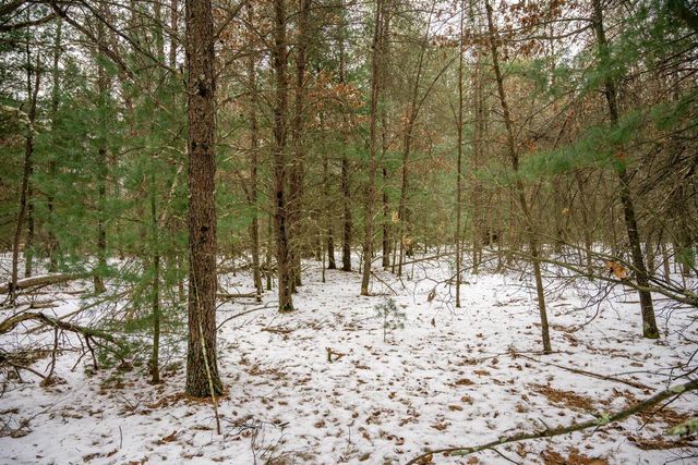 Lot 3 Meadow Drive, New Lisbon, WI 53950