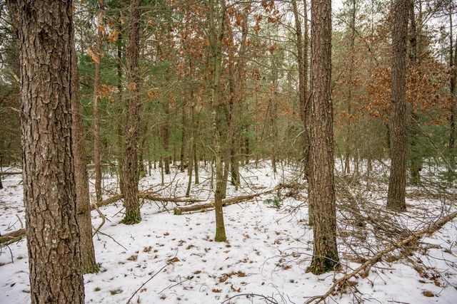 Lot 3 Meadow Drive, New Lisbon, WI 53950