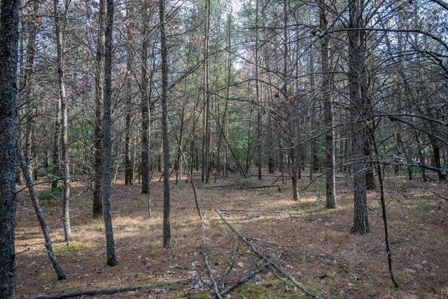 Lot 3 Meadow Drive, New Lisbon, WI 53950