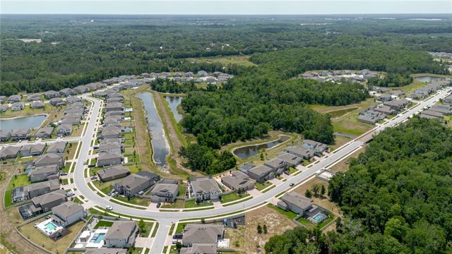 17871 CORTES CREEK BOULEVARD, Spring Hill, FL 34610