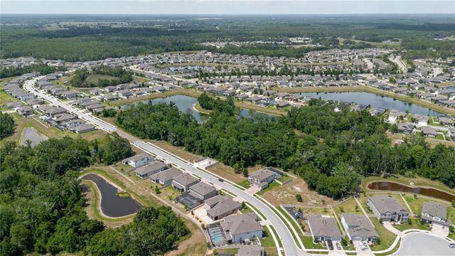 17871 CORTES CREEK BOULEVARD, Spring Hill, FL 34610
