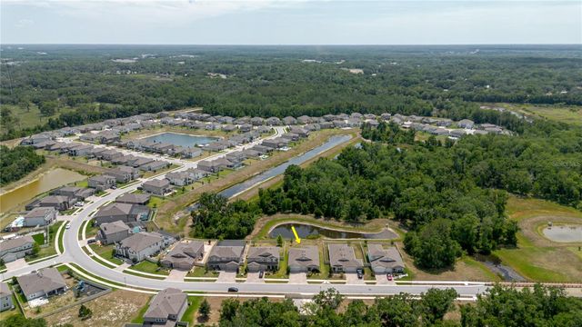17871 CORTES CREEK BOULEVARD, Spring Hill, FL 34610