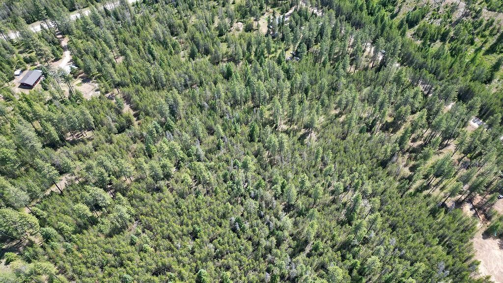 3792 M E Jump Off Rd, Valley, WA 99181 photo 14