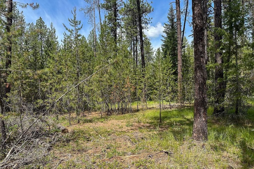 3792 M E Jump Off Rd, Valley, WA 99181 photo 3