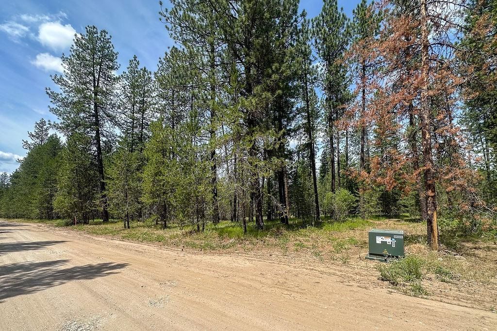 3792 M E Jump Off Rd, Valley, WA 99181 photo 4