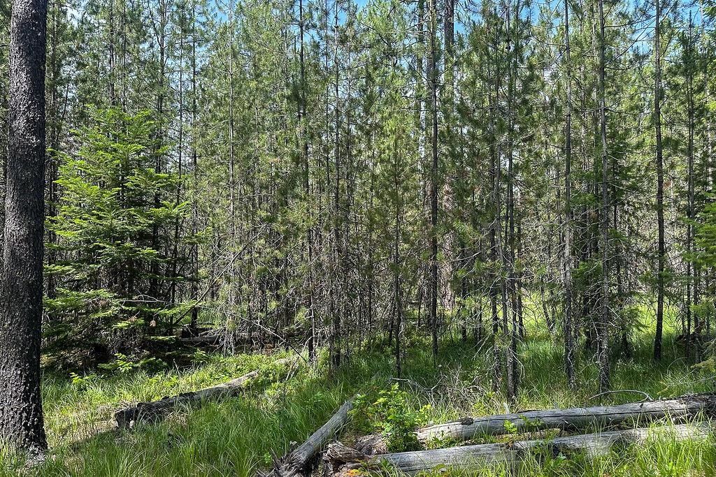 3792 M E Jump Off Rd, Valley, WA 99181 photo 6