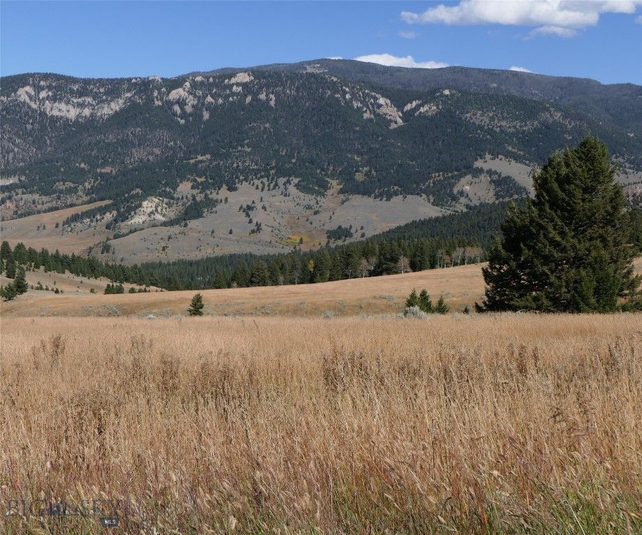 TBD Timberloft, Big Sky, MT 59716 photo 19