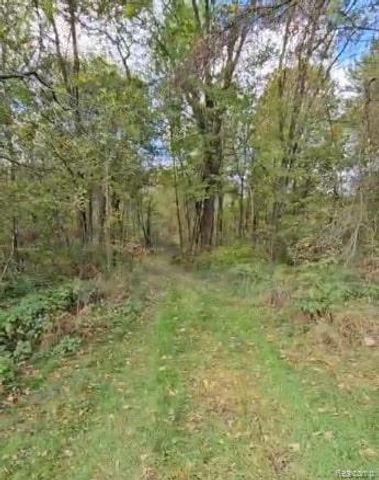 37 Risch Road, Webberville Village, MI 48892