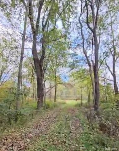 37 Risch Road, Webberville Village, MI 48892