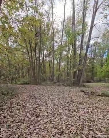 37 Risch Road, Webberville Village, MI 48892