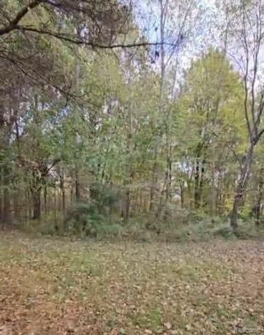 37 Risch Road, Webberville Village, MI 48892