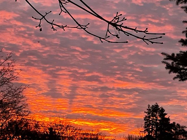 116 Pilgrim Trail, Plymouth, MA 02360