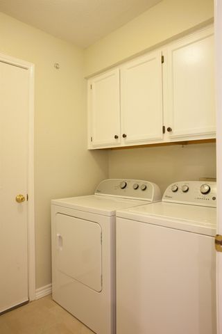 729 Shade Tree DR, Austin, TX 78748