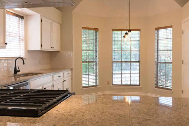 729 Shade Tree DR, Austin, TX 78748