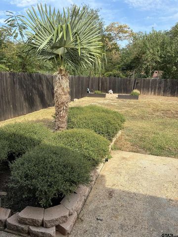 800 S Palmer St, Tyler, TX 75701