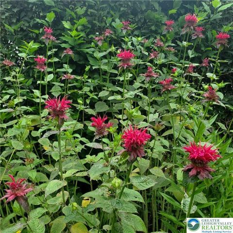 55 Sycamore Drive, Moore Twp, PA 18014