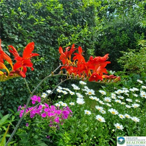 55 Sycamore Drive, Moore Twp, PA 18014