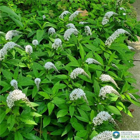 55 Sycamore Drive, Moore Twp, PA 18014