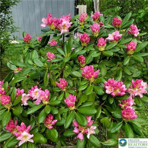 55 Sycamore Drive, Moore Twp, PA 18014