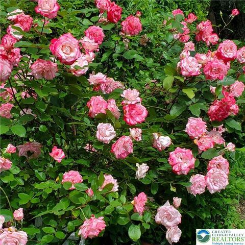 55 Sycamore Drive, Moore Twp, PA 18014