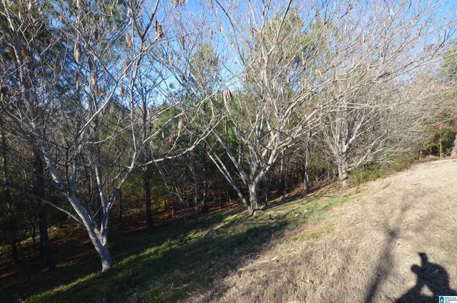 231 RIVER CREST CIRCLE N, Helena, AL 35080