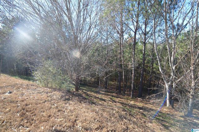 231 RIVER CREST CIRCLE N, Helena, AL 35080