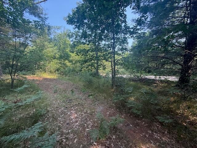 624 W 12th Street, Webber Twp, MI 49304