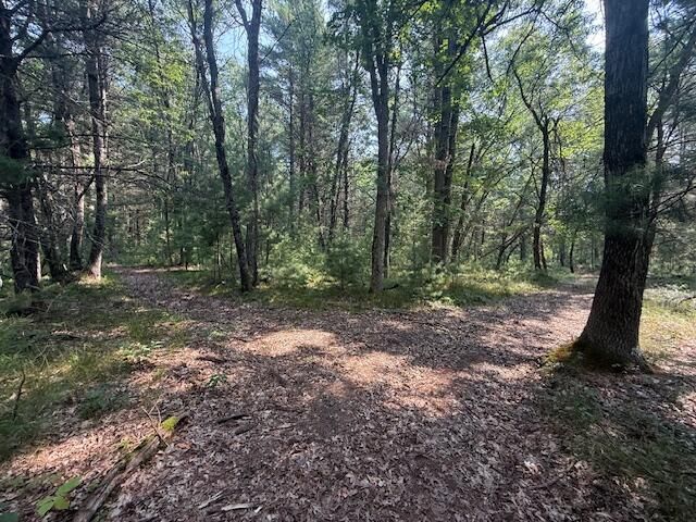 624 W 12th Street, Webber Twp, MI 49304