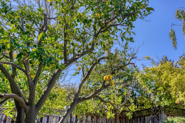 11583 Upland Way, Cupertino, CA 95014