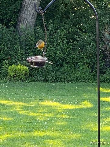 578 Alt Boulevard, Grand Island, NY 14072