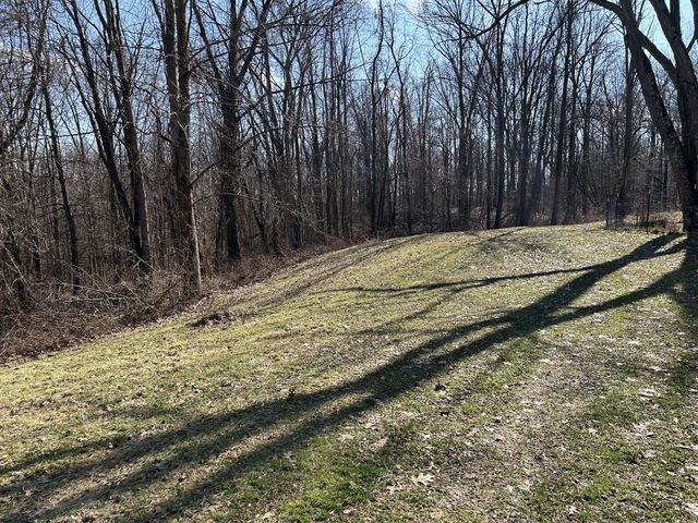 15033 Millard Road, Three Rivers, MI 49093