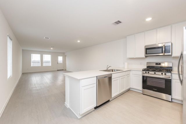 28903 Great Canyon Drive, Hockley, TX 77447