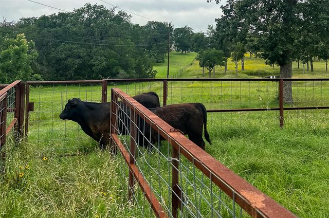 2936 FM 1704, Elgin, TX 78621