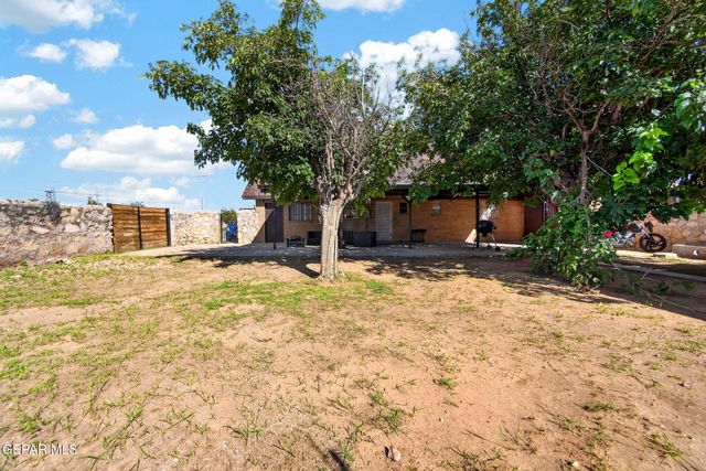 8523 MOUNT RANIER Drive, El Paso, TX 79904