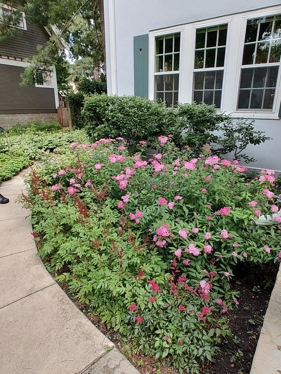 2725 Irving Avenue S 1, Minneapolis, MN 55408 — photo 3