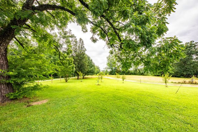 875 Lindsey Rd, Parsons, TN 38363